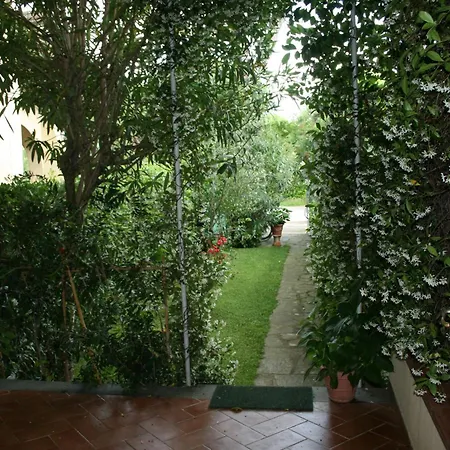 Versilia - Con Giardino Holiday home Marina di Pietrasanta